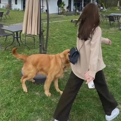李天腾与赵小宝3